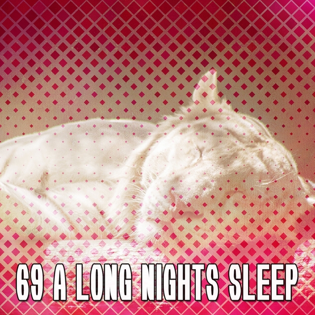 69 A Long Nights Sleep