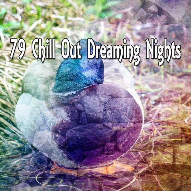 Couverture de 79 Chill Out Dreaming Nights