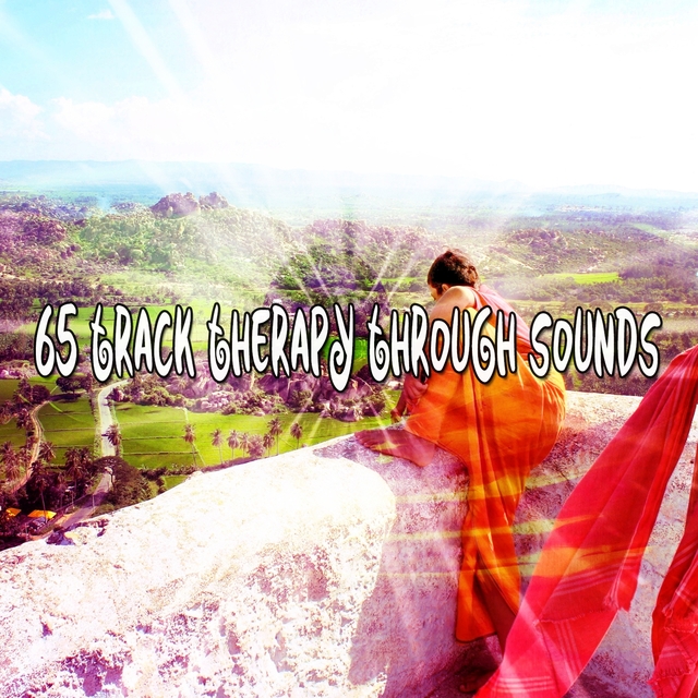 Couverture de 65 Track Therapy Through Sounds