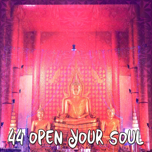 Couverture de 44 Open Your Soul