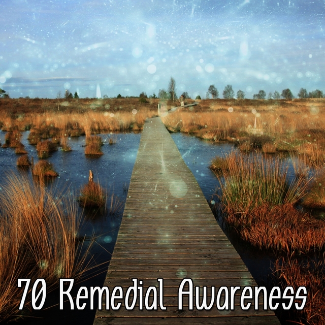 70 Remedial Awareness