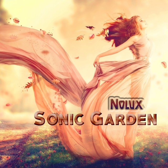 Couverture de Sonic Garden