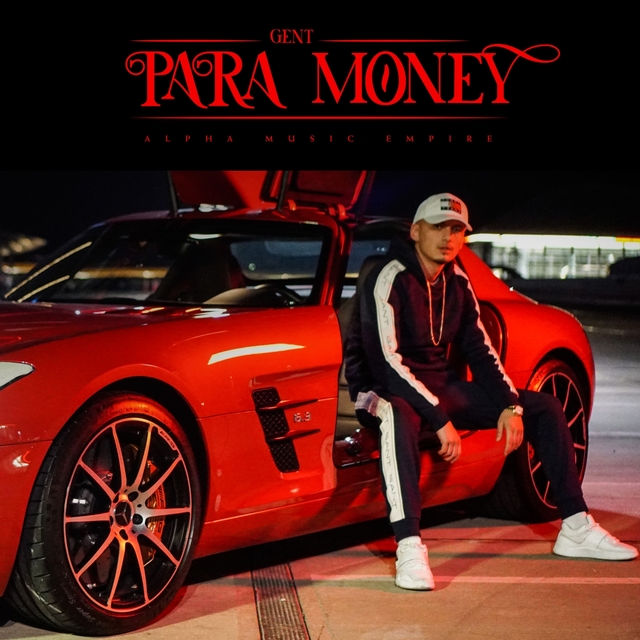 Couverture de PARA MONEY