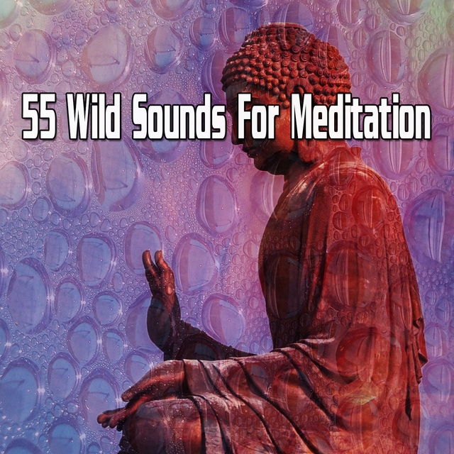 55 Wild Sounds For Meditation