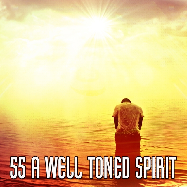 Couverture de 55 A Well Toned Spirit