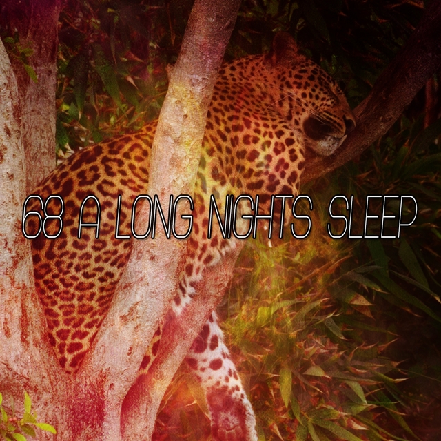 Couverture de 68 A Long Nights Sleep