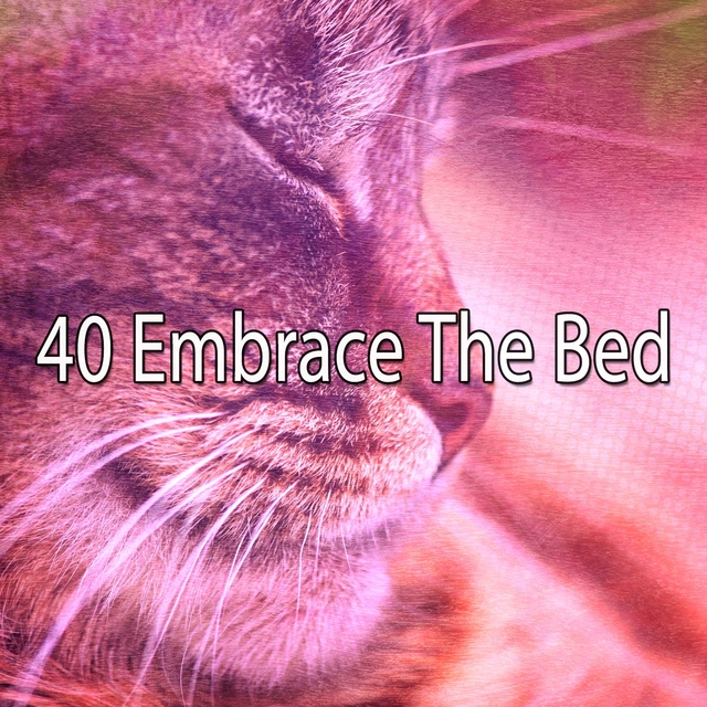 40 Embrace The Bed