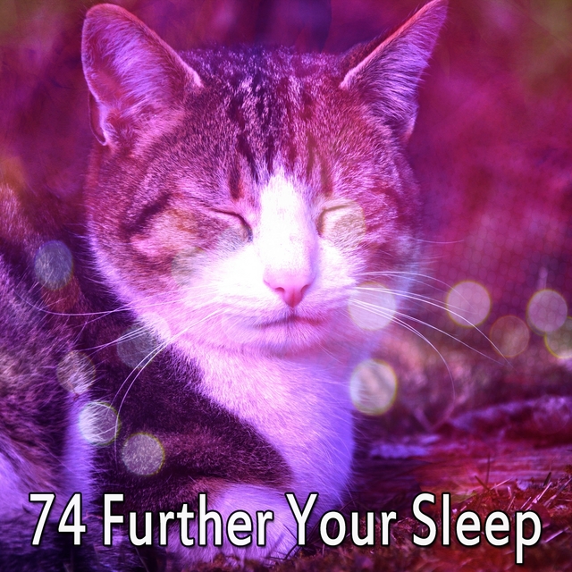 Couverture de 74 Further Your Sleep