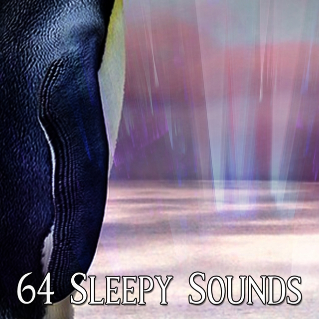 Couverture de 64 Sleepy Sounds