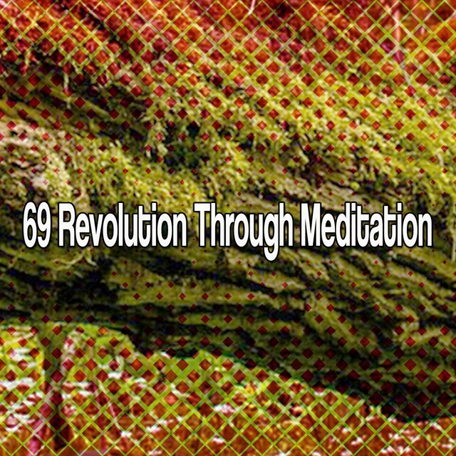 Couverture de 69 Revolution Through Meditation