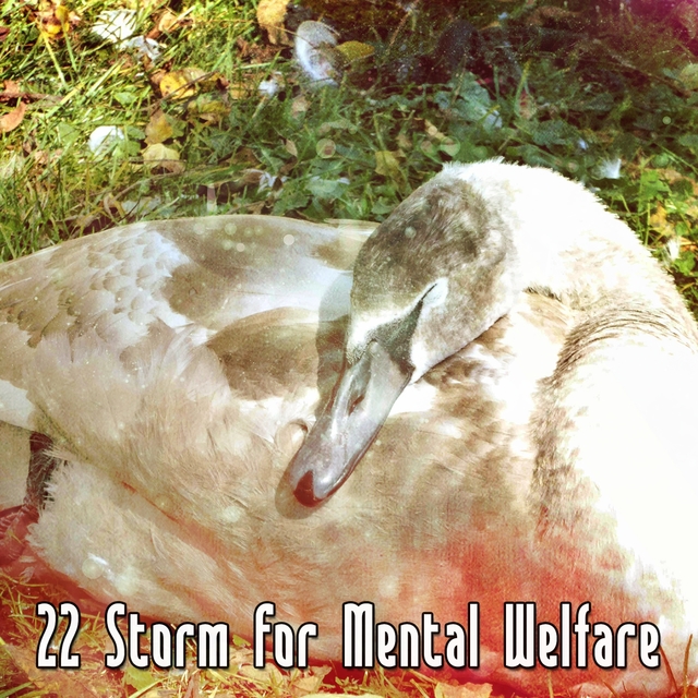 22 Storm For Mental Welfare