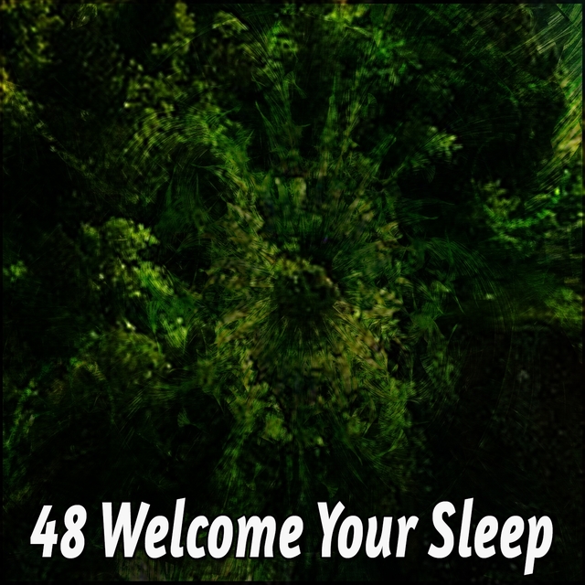 48 Welcome Your Sleep