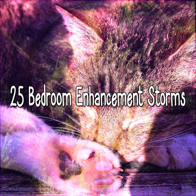 25 Bedroom Enhancement Storms