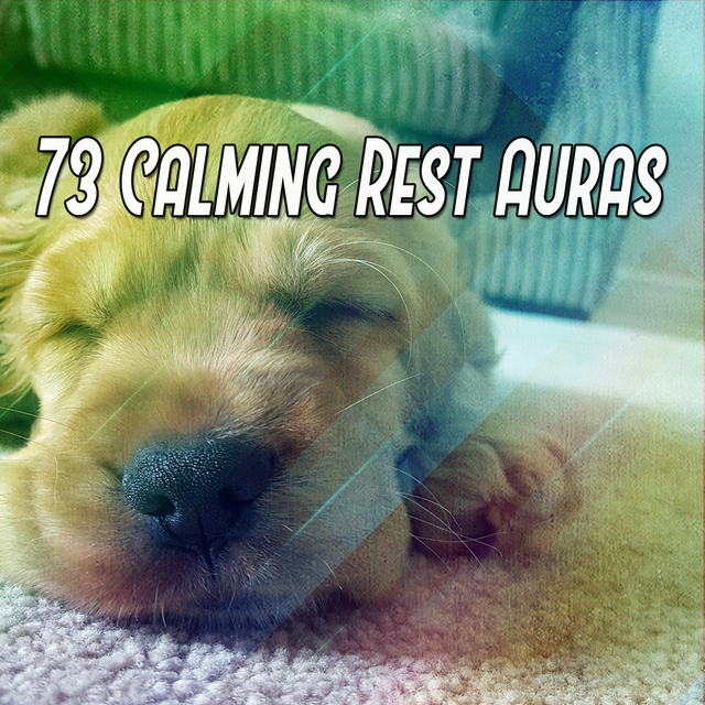 73 Calming Rest Auras