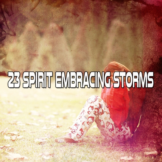 Couverture de 23 Spirit Embracing Storms