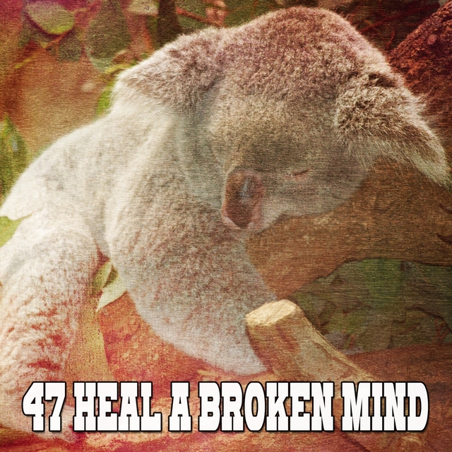 47 Heal A Broken Mind