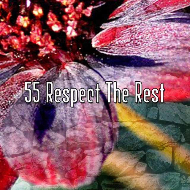 Couverture de 55 Respect The Rest