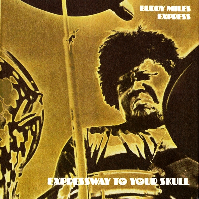 Couverture de Expressway To Your Skul