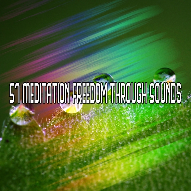 Couverture de 57 Meditation Freedom Through Sounds