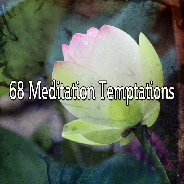 68 Meditation Temptations