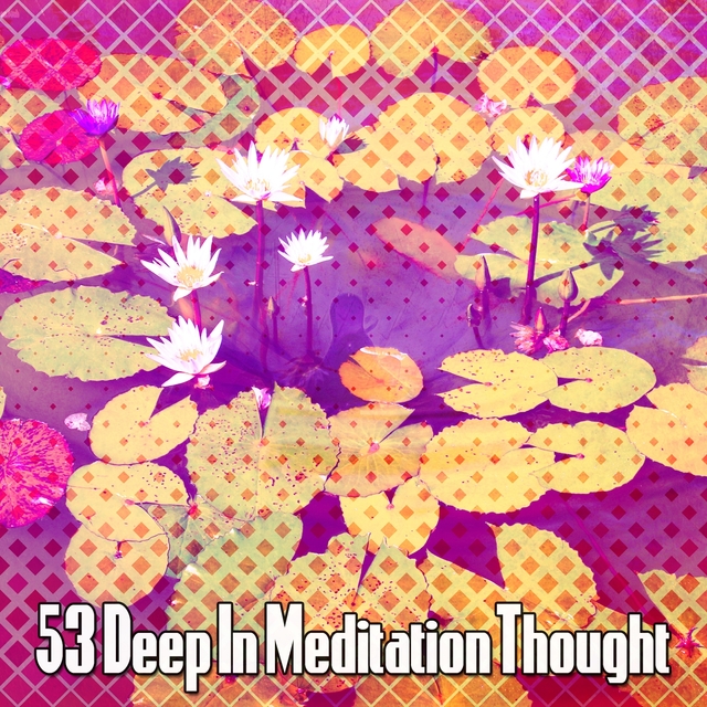 Couverture de 53 Deep In Meditation Thought