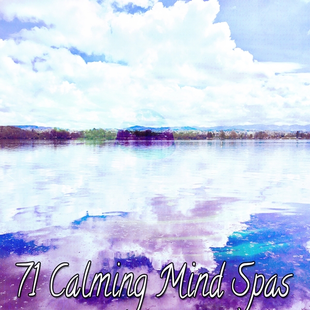 71 Calming Mind Spas