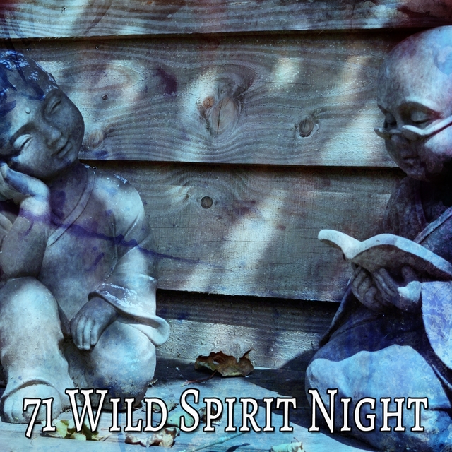 Couverture de 71 Wild Spirit Night