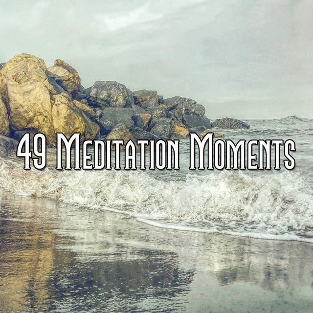 49 Meditation Moments