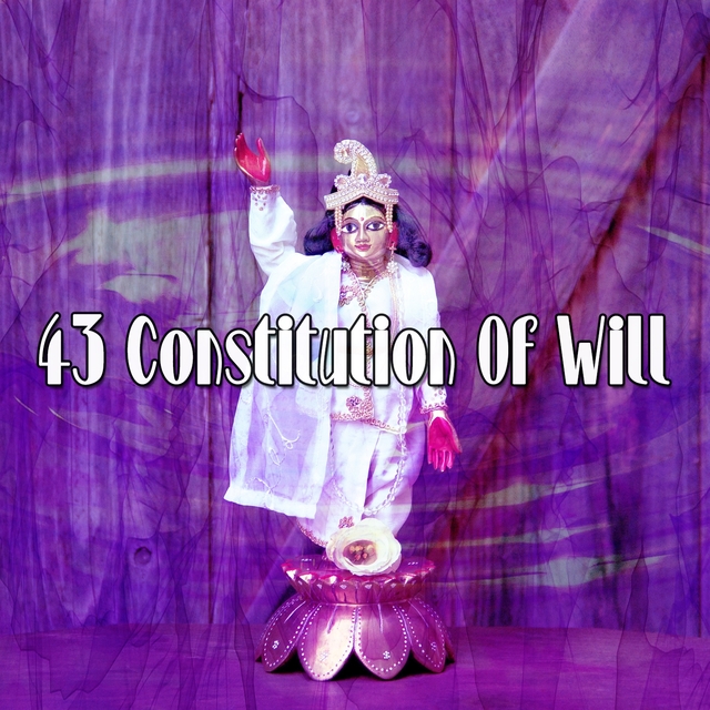 43 Constitution Of Will