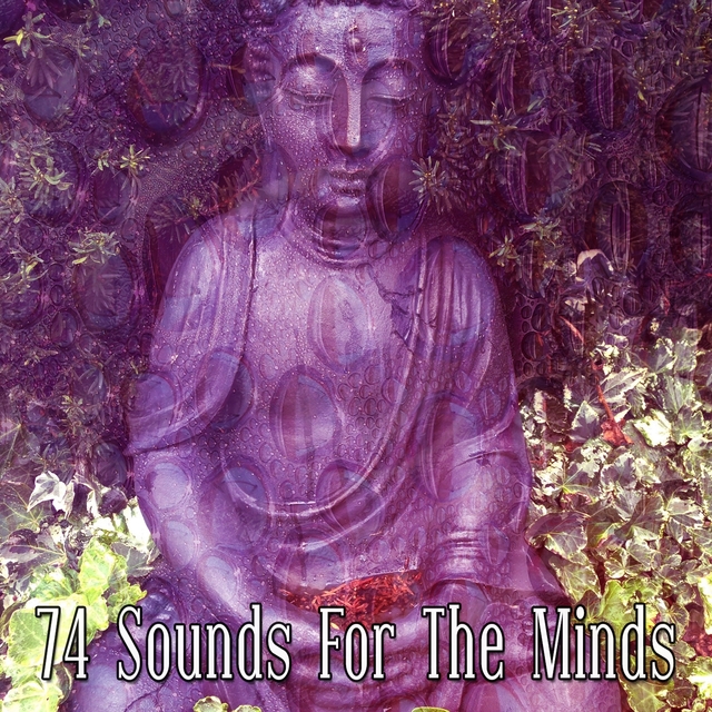 74 Sounds For The Minds