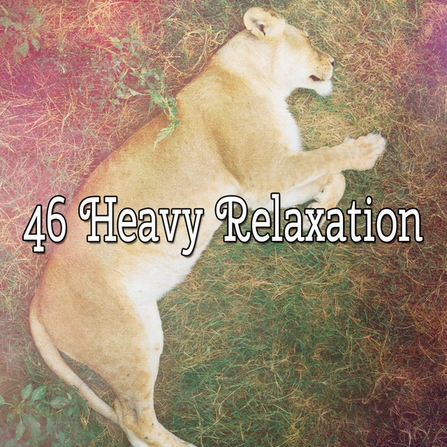 46 Heavy Relaxation