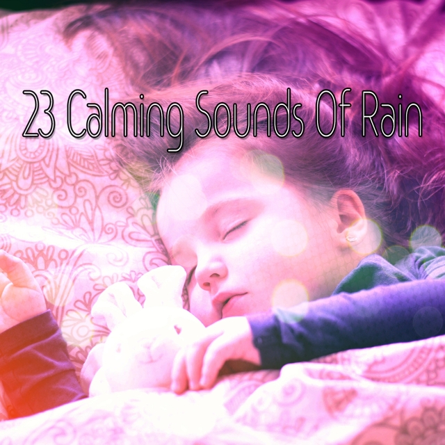 Couverture de 23 Calming Sounds Of Rain