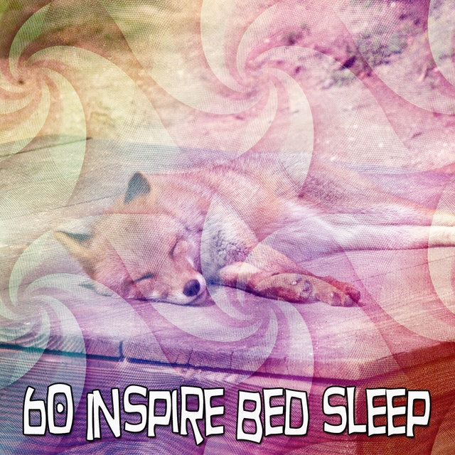 60 Inspire Bed Sleep