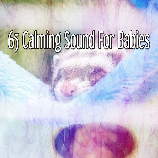 Couverture de 65 Calming Sound For Babies