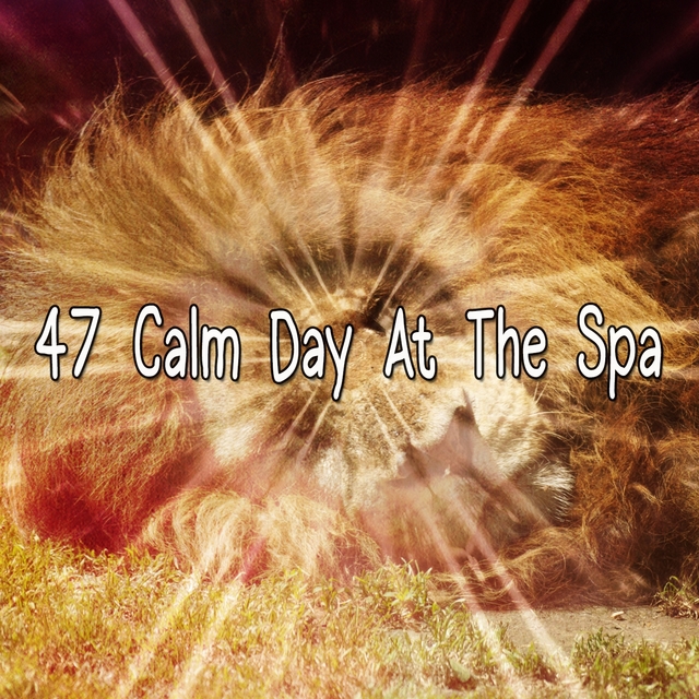 47 Calm Day At The Spa