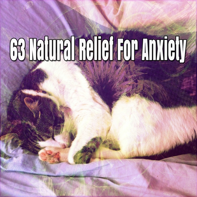 Couverture de 63 Natural Relief For Anxiety