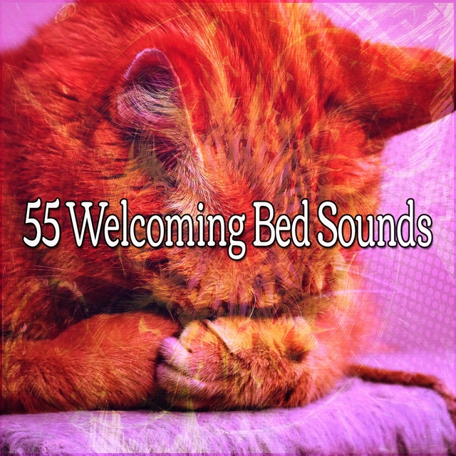 Couverture de 55 Welcoming Bed Sounds