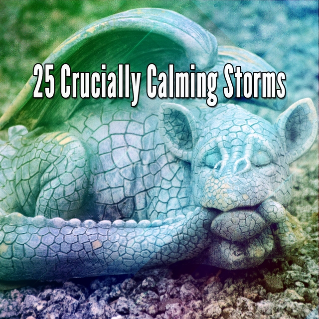 Couverture de 25 Crucially Calming Storms