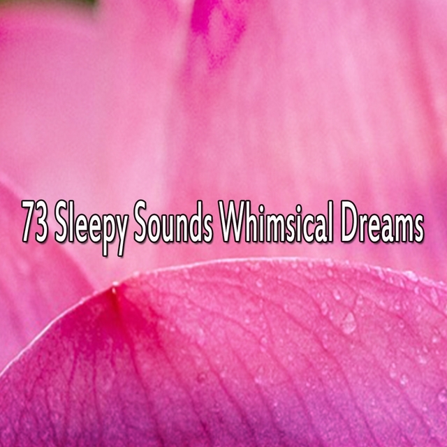 Couverture de 73 Sleepy Sounds Whimsical Dreams