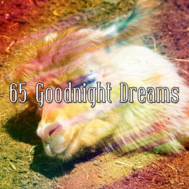 Couverture de 65 Goodnight Dreams