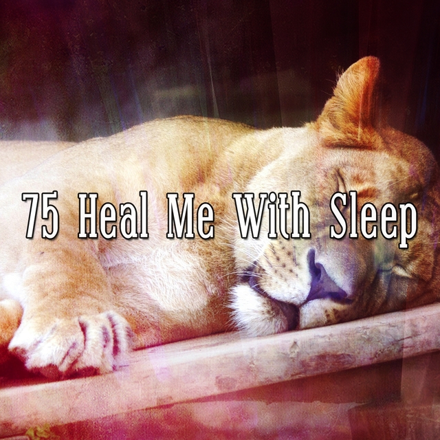 75 Heal Me With Sleep