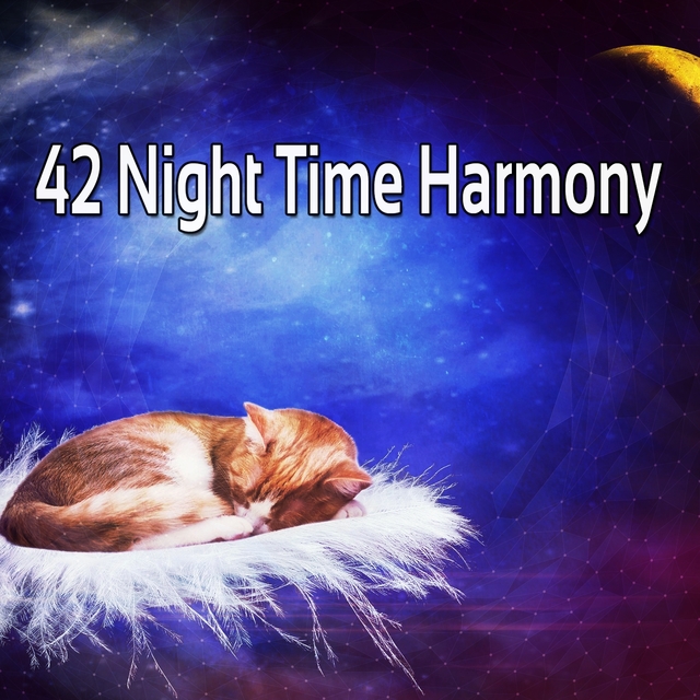 42 Night Time Harmony