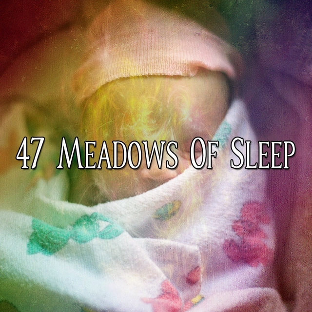 Couverture de 47 Meadows Of Sleep