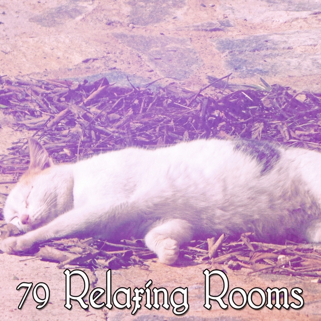 Couverture de 79 Relaxing Rooms