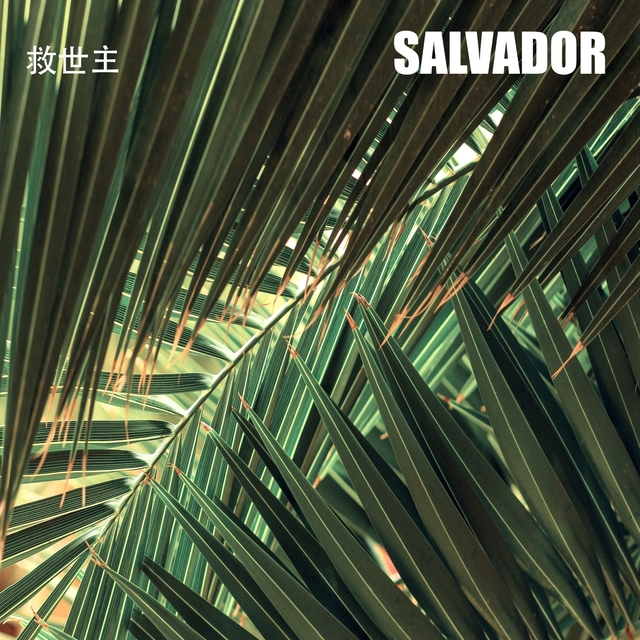 Couverture de Salvador