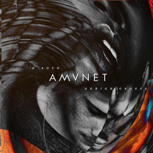 Couverture de AMVNET