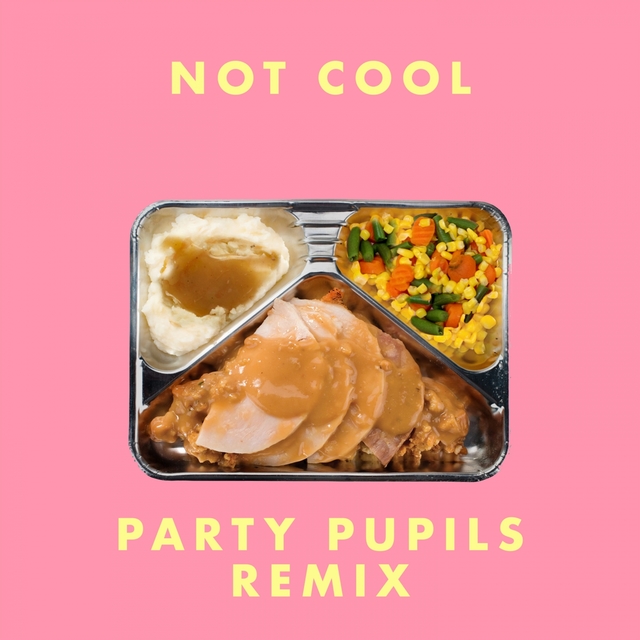 Couverture de Not Cool