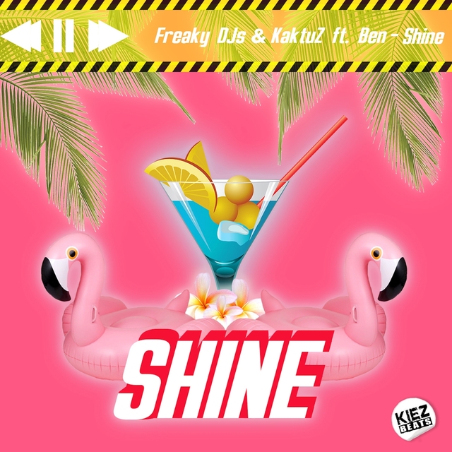 Couverture de Shine