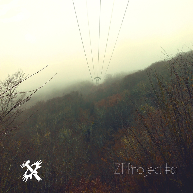 ZT Project 01