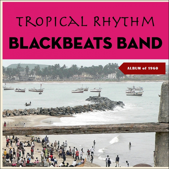 Couverture de Tropical Rhythm